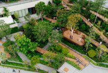 Aerial view of lush Roof Park at Central Park Bangkok with wooden walkways.