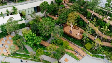 Aerial view of lush Roof Park at Central Park Bangkok with wooden walkways.
