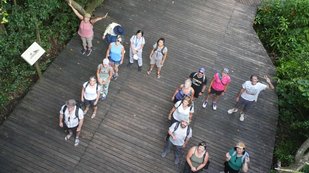 Group of travellers on elevated boardwalk in Krabi mangrove forest, learning about conservation and sustainable tourism.