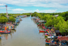 Colourful fishing boats line the canal at Laem Phak Bia community, reflecting Phetchaburi’s rich coastal lifestyle and sustainable tourism efforts.