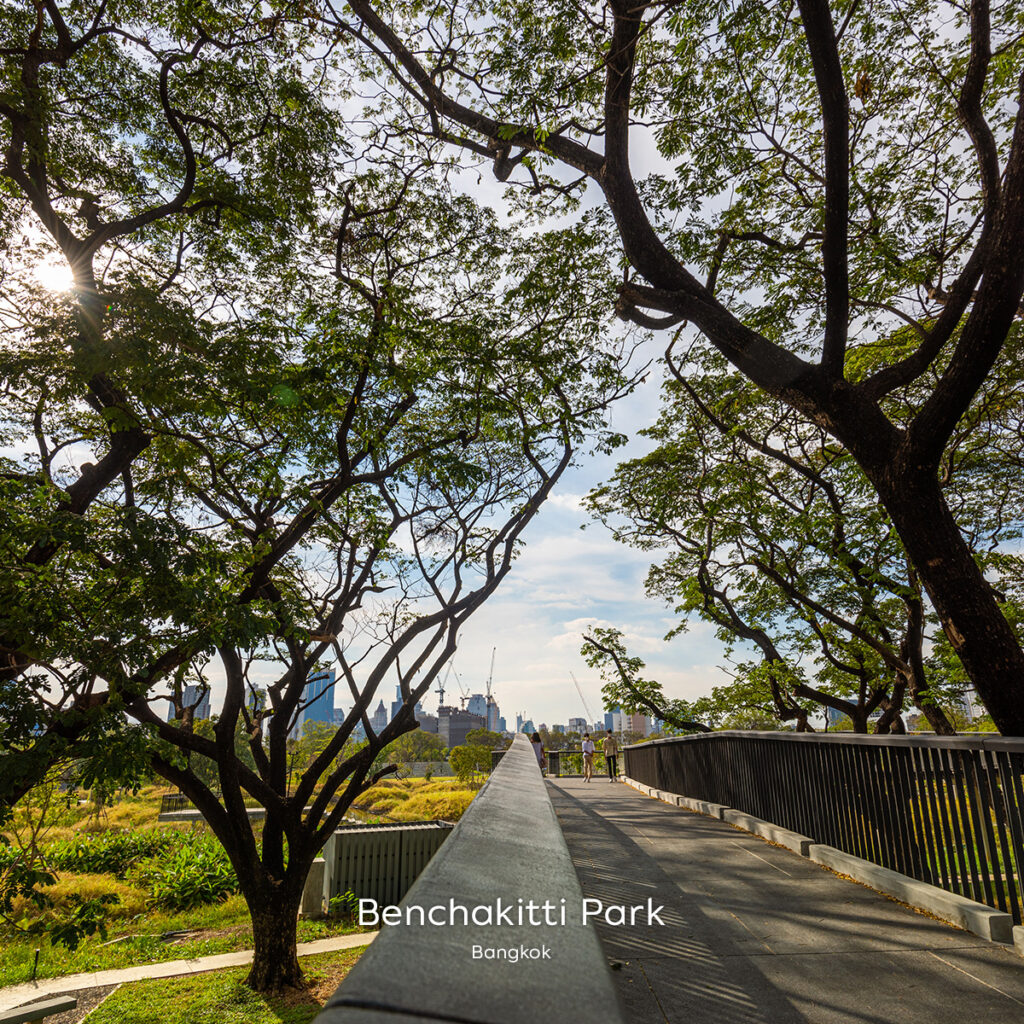 Tree-shaded elevated skywalk at Benchakiti Park with views of the wetlands and Bangkok skyline beyond.