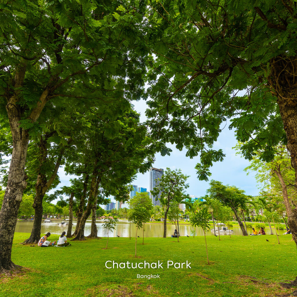 Shaded lawn at Chatuchak Park with people relaxing by the lake and Bangkok’s skyline visible through the trees.