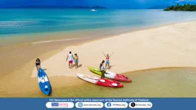 A quiet tropical beach with clear waters and palm trees on Ko Phayam, Ranong.