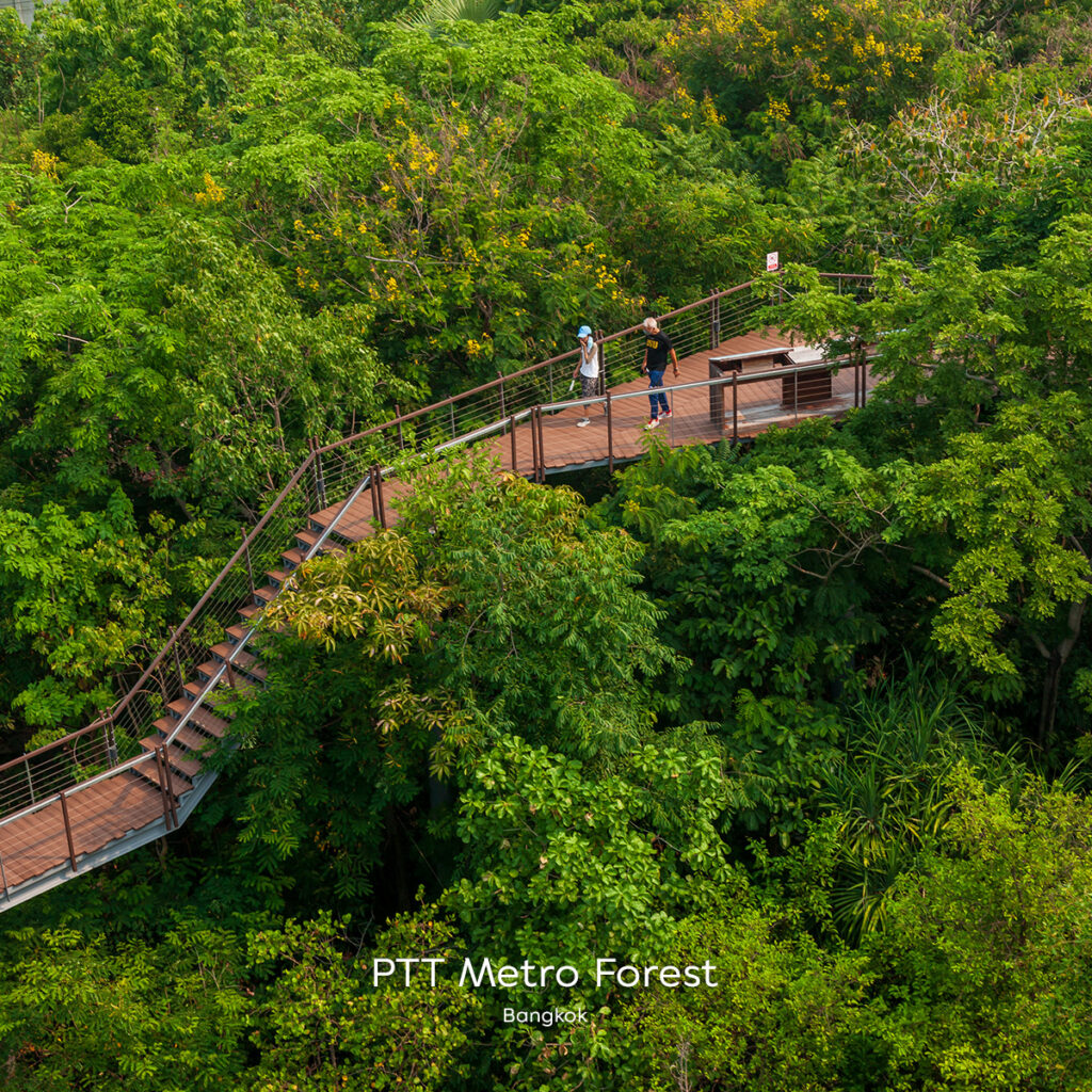 Visitors walking along the elevated wooden skywalk surrounded by dense green canopy at PTT Metro Forest in Bangkok.
