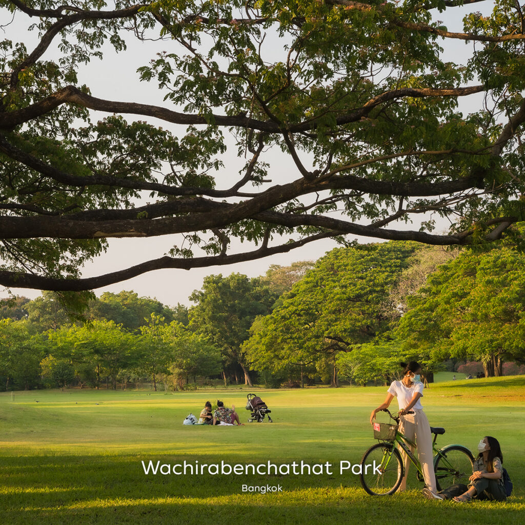 Wide green field at Wachirabenchathat Park with families relaxing under sprawling tree branches and cyclists enjoying the open space.