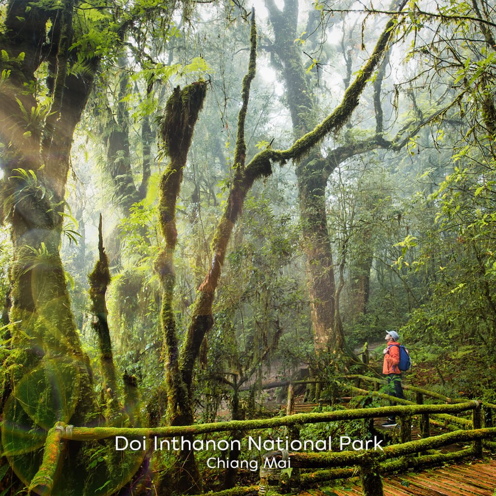 Doi Inthanon National Park, Chiang Mai