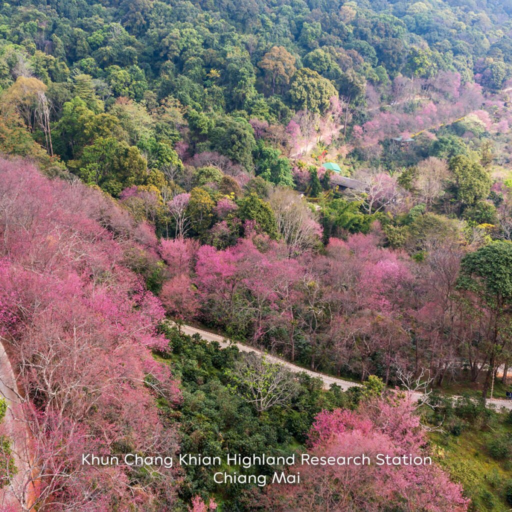 Khun Chang Khian Highland Research Station, Chiang Mai