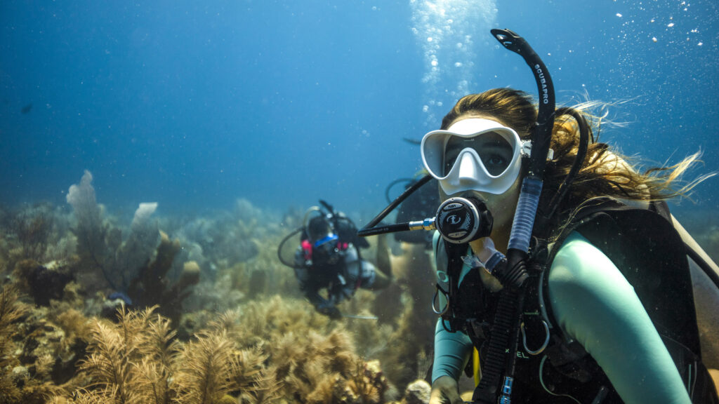 Scuba divers explore Thailand’s vibrant coral reefs highlighting sustainable and responsible dive tourism