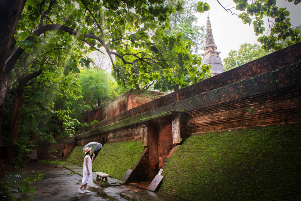 TAT invites travellers to discover Blooming and Bright Amazing Thailand