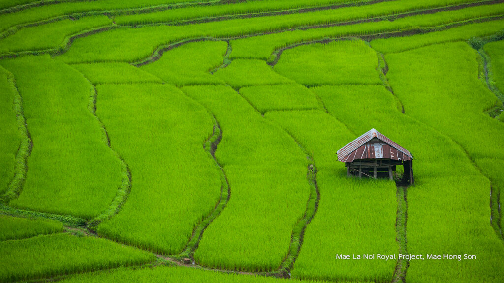 Go Off the Beaten Path in Style in Thailand