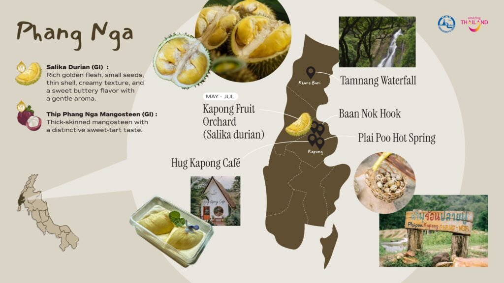 Taste Thailand’s South by Season with Southern MUST TASTE Thai Fruits