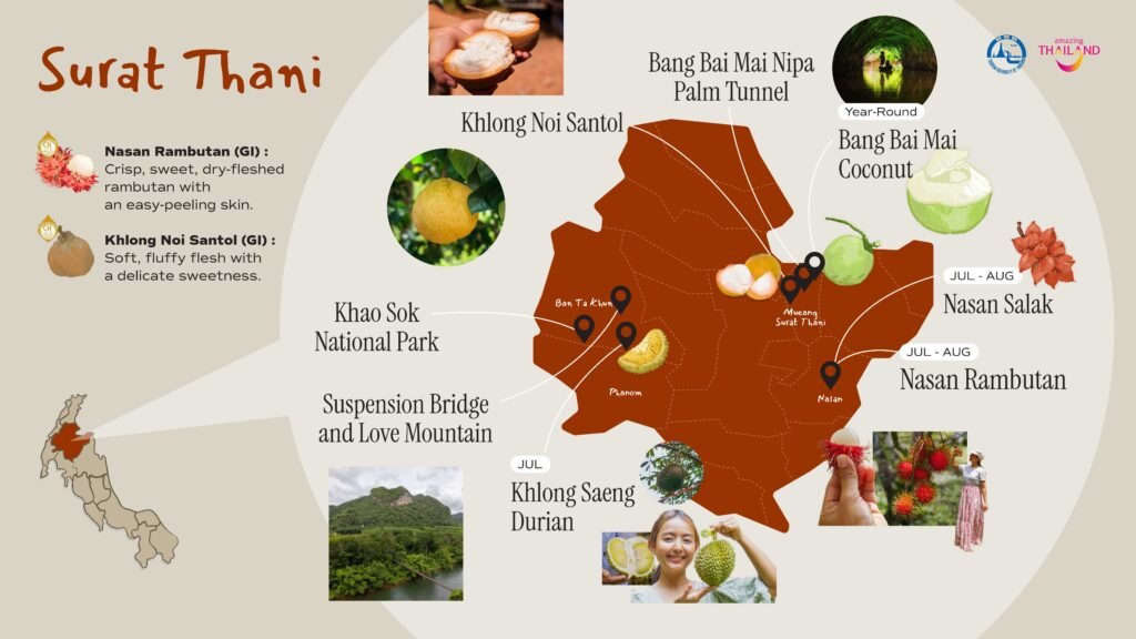 Taste Thailand’s South by Season with Southern MUST TASTE Thai Fruits