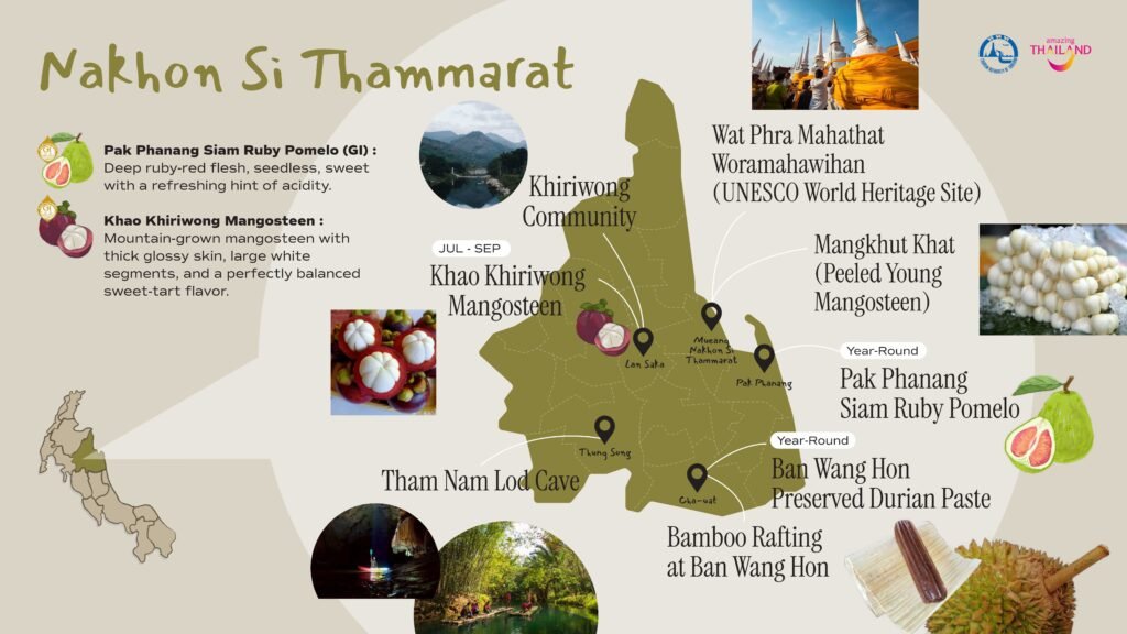 Taste Thailand’s South by Season with Southern MUST TASTE Thai Fruits