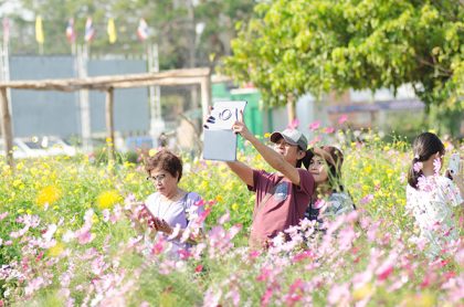 17th Rajamangala Orchid Festival