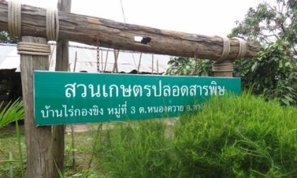 Ban Rai Kong Khing in Chiang Mai 01