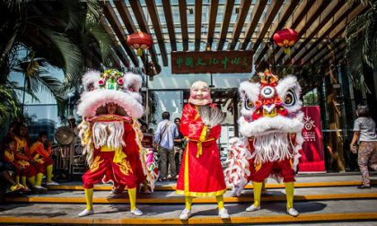 Chinese New Year_01 500x300