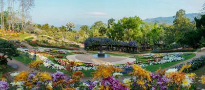 Bike ForColors of Doi Tung returns to the mountains of Chiang Rai Colors of Doi Tung returns to the mountains of Chiang Rai for the second yearthe second year Dad,Thailand all set to celebrate the festive month of December 2015