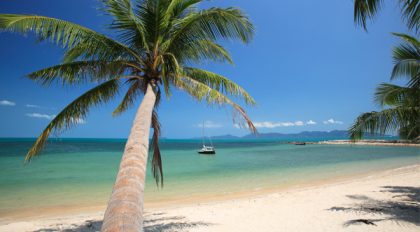 DWP Congress 2017 delegates to explore Thailand as a dream wedding destination