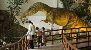 Dinosaur Museum, Phu Wiang National Park