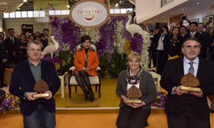 Inaugural Discover Amazing Stories Award - ITB 2016_display