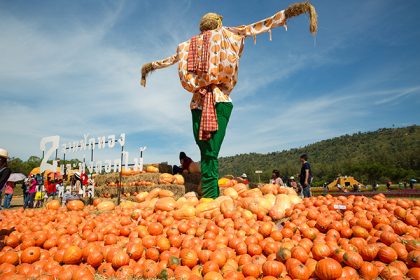 Jim Thompson Farm Tour December 2015
