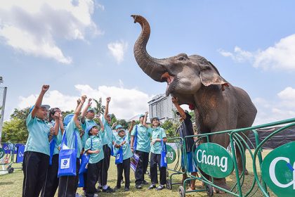 King’s Cup Elephant Polo Tournament