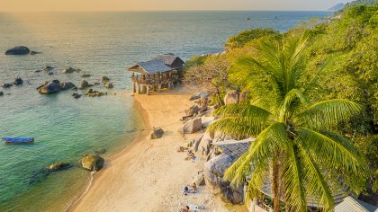 Ko Tao praised for strong coral reef conservation