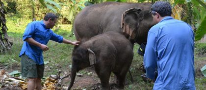 Ocean Mysteries Thailand episode_03_680x300