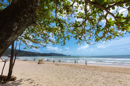 Phuket launches ground breaking No Foam No Plastic initiative