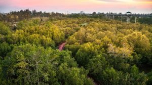 Exploring Thailand’s South in Yala Pattani and Songkhla