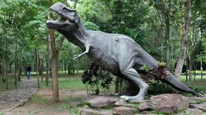 Phu Faek Forest Park, Kalasin