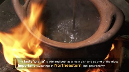 Tasty Recipes-3