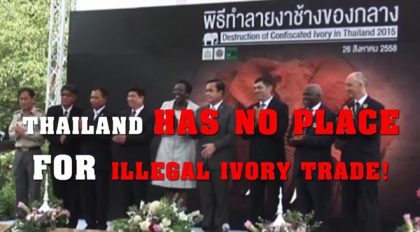 Thailand continuing efforts to end illegal ivory trade