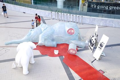 WWF-Thailand launches “Travel Ivory Free” campaign