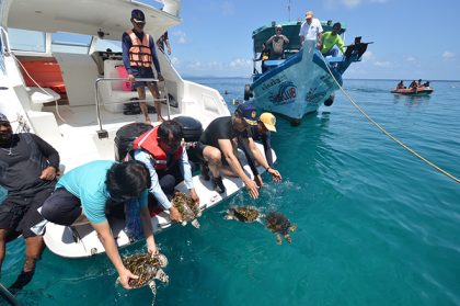 Weerasak Kowsurat leads beach clean-up effort in Chumphon