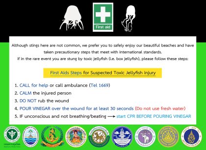 What to do in the case of a jellyfish sting